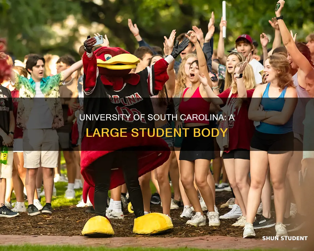 how many students go to university of south ccarolina