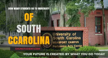 University of South Carolina: Student Population Insights