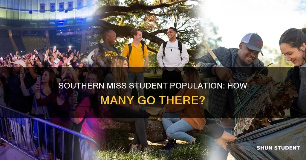 how many students go to university of southern ms