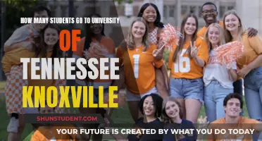 Knoxville's University of Tennessee: Student Population Insights