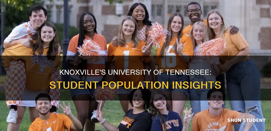 how many students go to university of tennessee knoxville