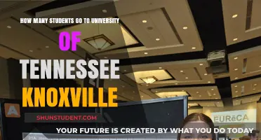 Knoxville's University of Tennessee: Student Population