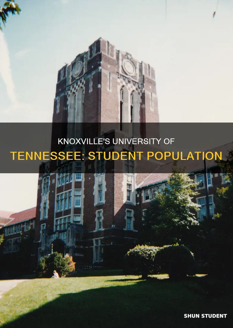 how many students go to university of tennessee knoxville