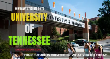 Exploring University of Tennessee's Student Population