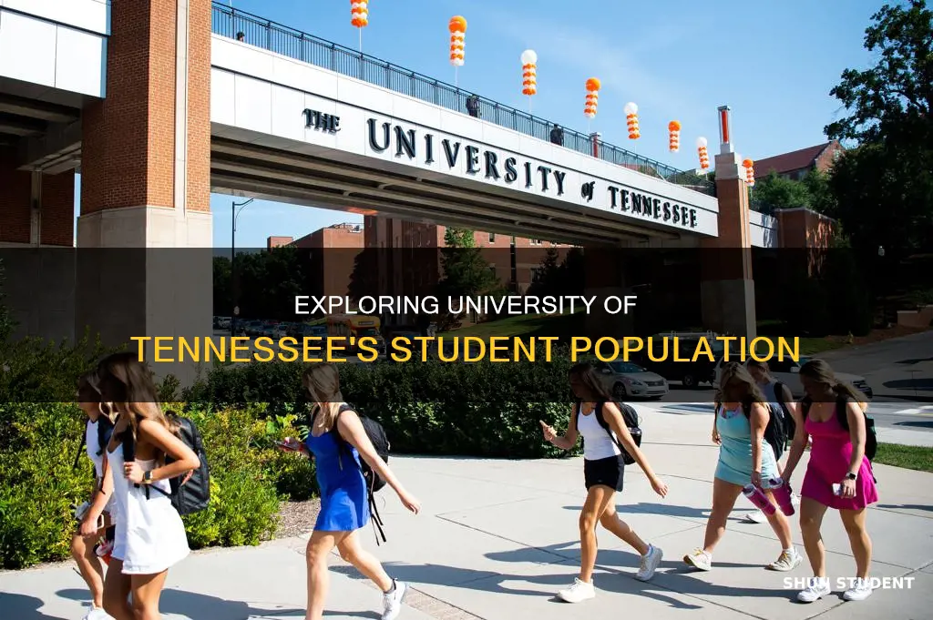 how many students go to university of tennessee