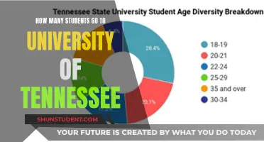 Exploring University of Tennessee's Student Population