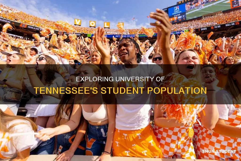how many students go to university of tennessee