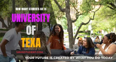 University of Texas: A Student Population Overview