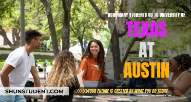 University of Texas at Austin: Student Population Insights