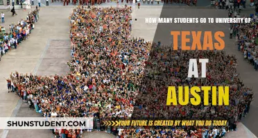 Exploring Enrollment at University of Texas at Austin