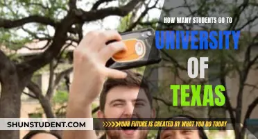 University of Texas: A Student Population Overview