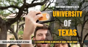 Exploring University of Texas: Student Enrollment Figures
