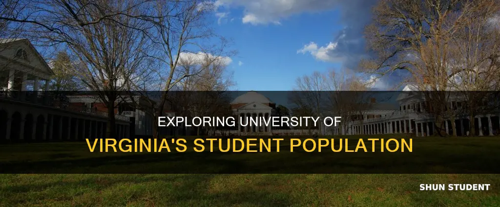 how many students go to university of virginia