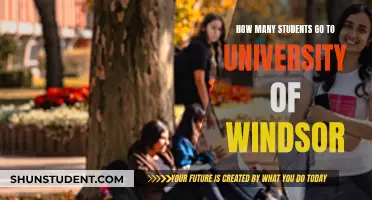 Exploring Enrollment at University of Windsor