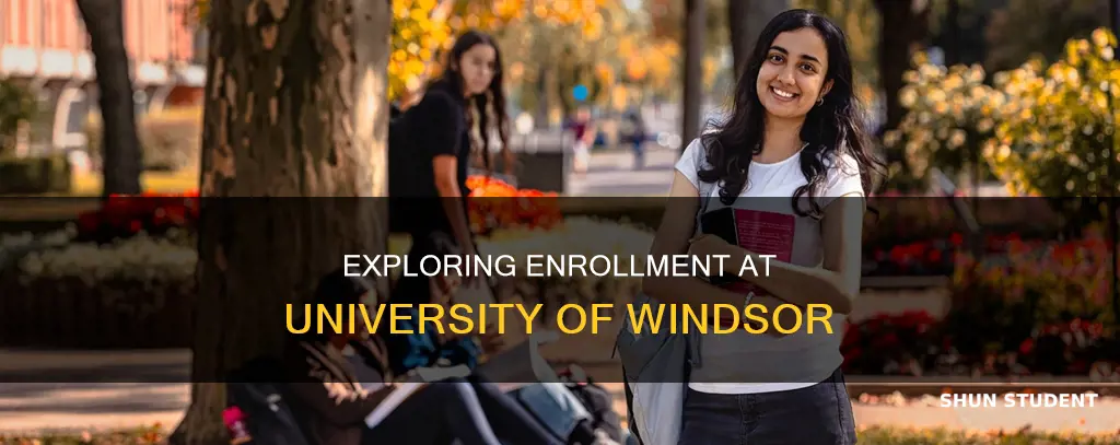 how many students go to university of windsor