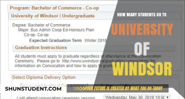 Exploring University of Windsor's Student Population