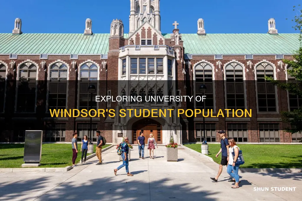 how many students go to university of windsor