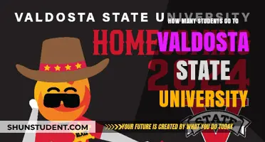 Exploring Valdosta State University's Student Population