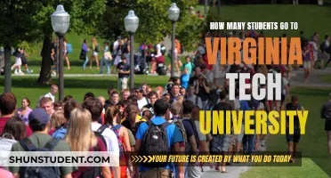 Exploring Virginia Tech University's Student Population