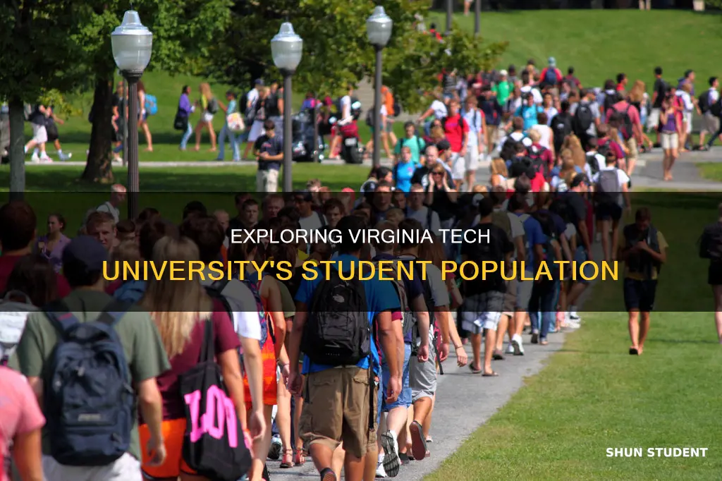 how many students go to virginia tech university