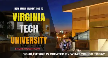 Exploring Virginia Tech University's Student Population