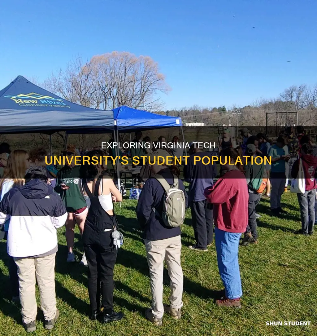 how many students go to virginia tech university