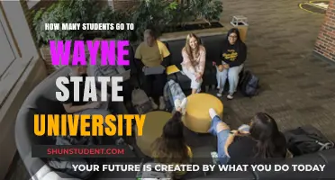 Exploring Enrollment at Wayne State University