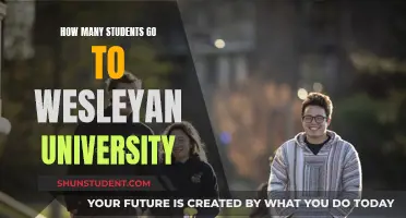 Wesleyan University's Student Population: An Overview