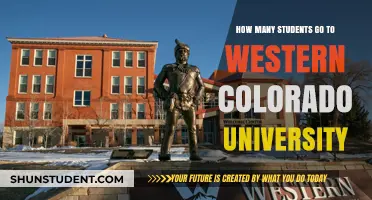 Western Colorado University: Student Population Insights