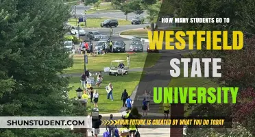Westfield State University: Enrollment Figures and Trends