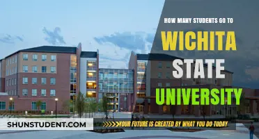 Exploring Wichita State University's Student Population