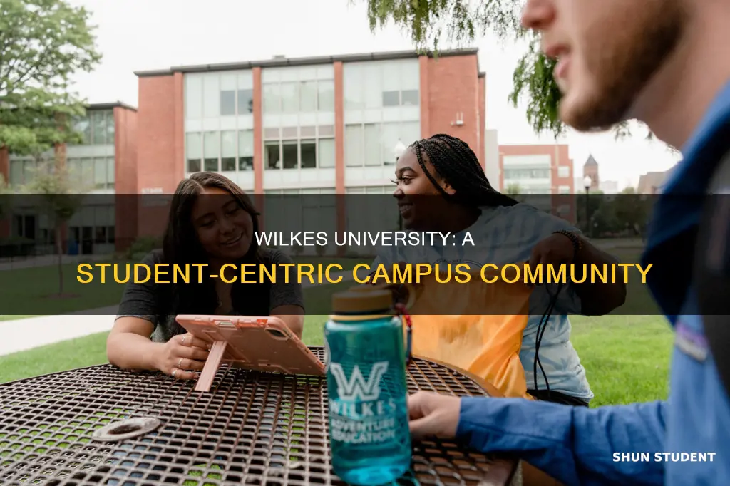 how many students go to wilkes university