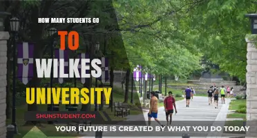 Wilkes University: A Small Student Body, Big Opportunities