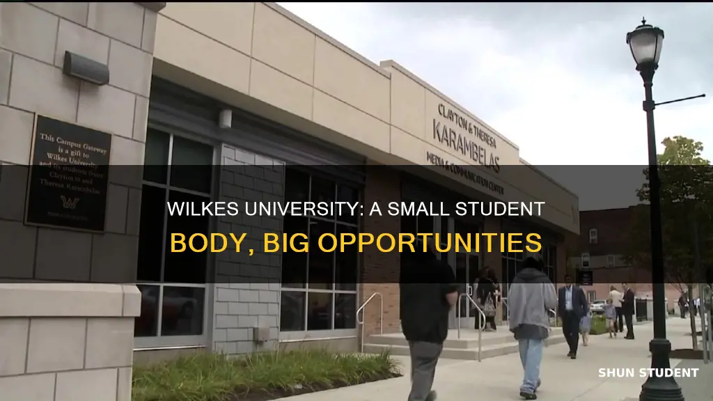 how many students go to wilkes university