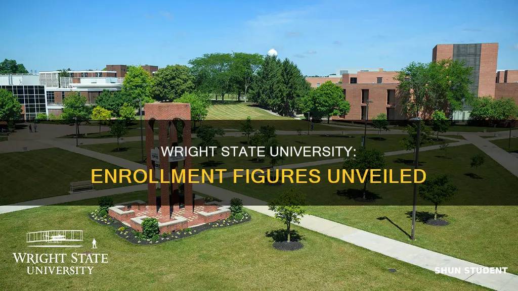 how many students go to wright state university