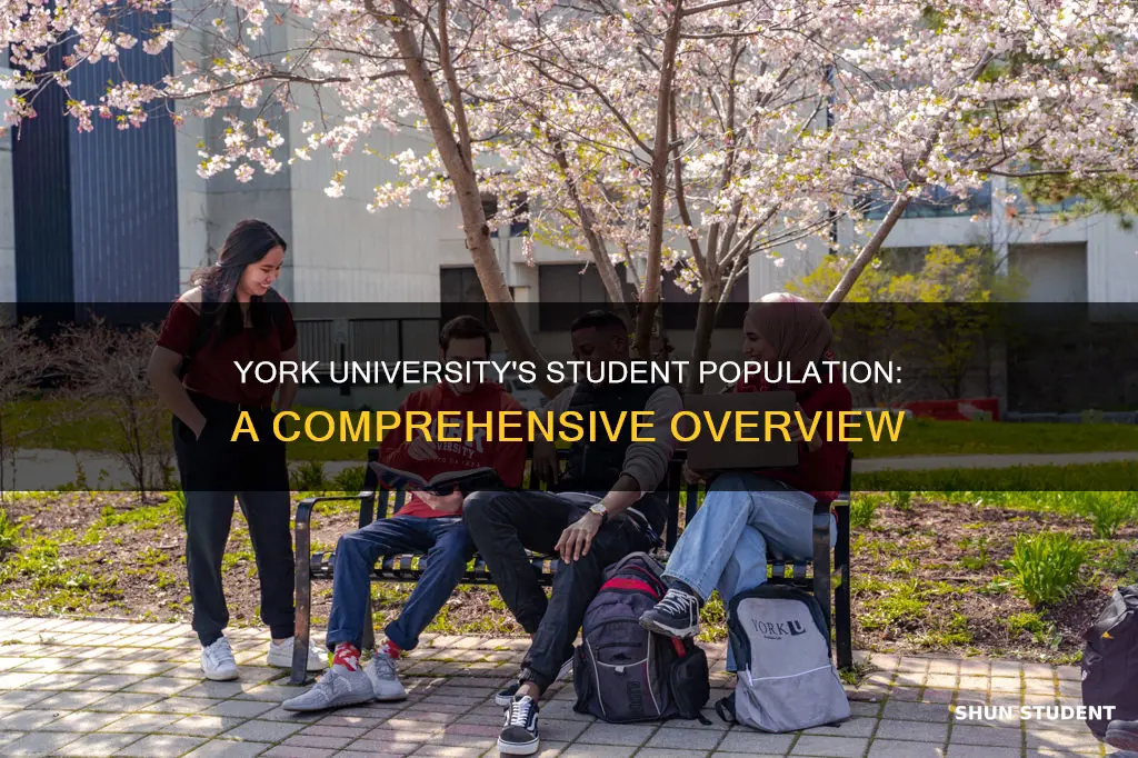 how many students go to york university