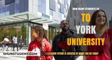 York University's Student Population: A Comprehensive Overview