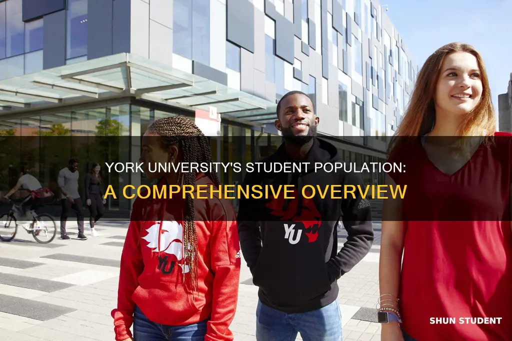 how many students go to york university
