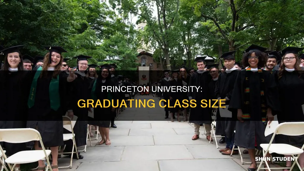 how many students graduate from princeton university