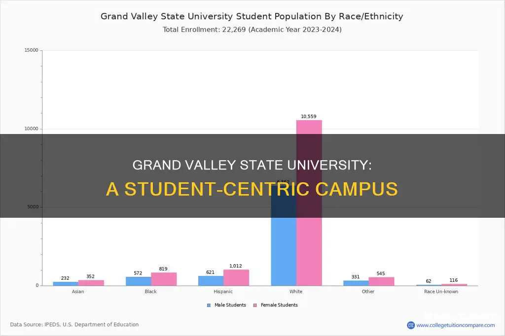 how many students grand valley state university