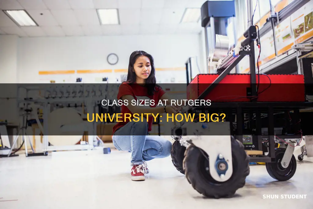 how many students in a class rutgers university new brunswick