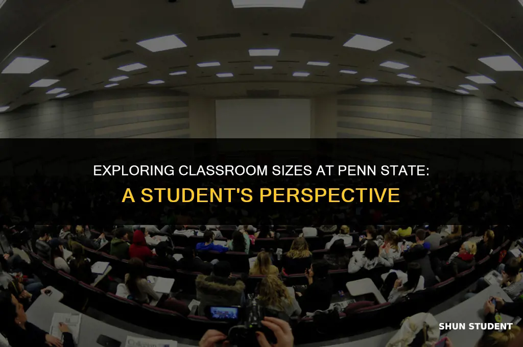 how many students in a classroom at penn state