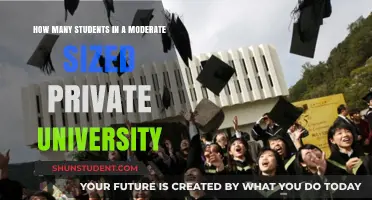 A Private University's Student Population: Ideal Size?