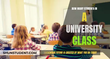 Class Sizes: How Do They Affect University Students?