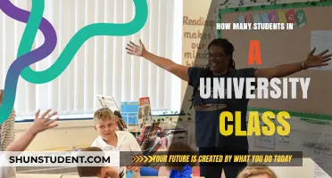 Class Sizes: Impact on Student Learning and Experience