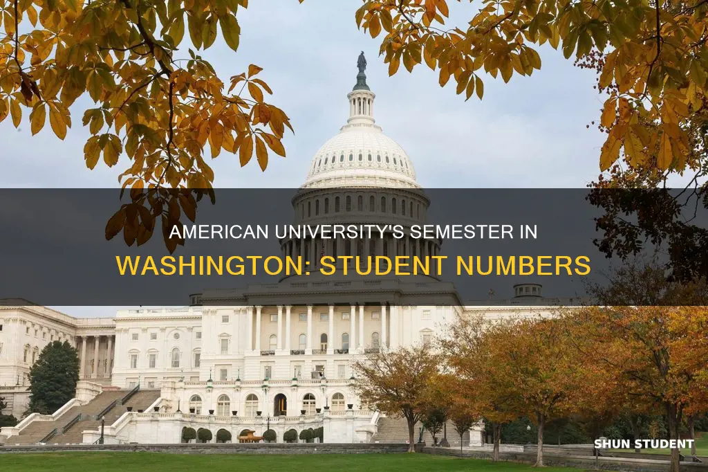 how many students in american university semester in washington program