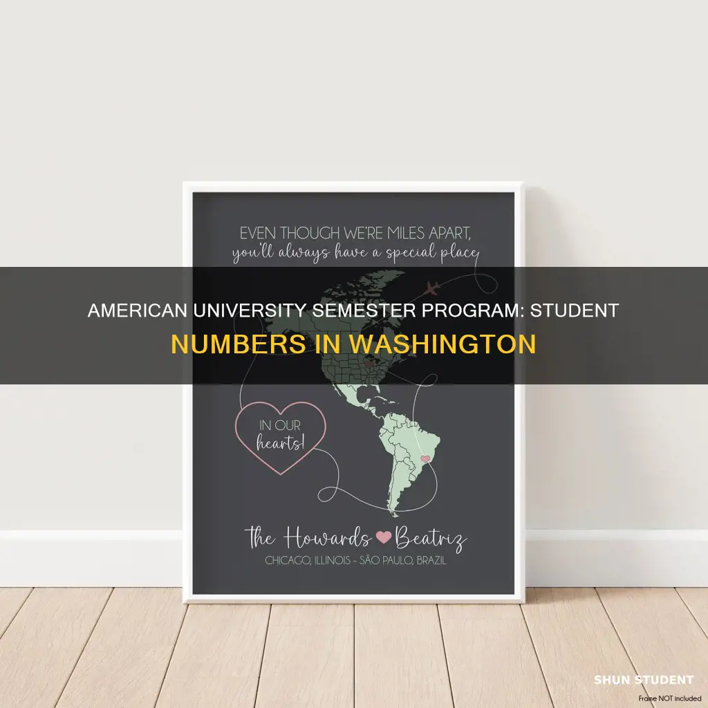 how many students in american university semester in washington program