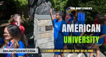 American University Student Population Insights