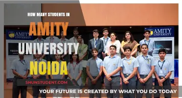 Amity University, Noida: Student Population Unveiled