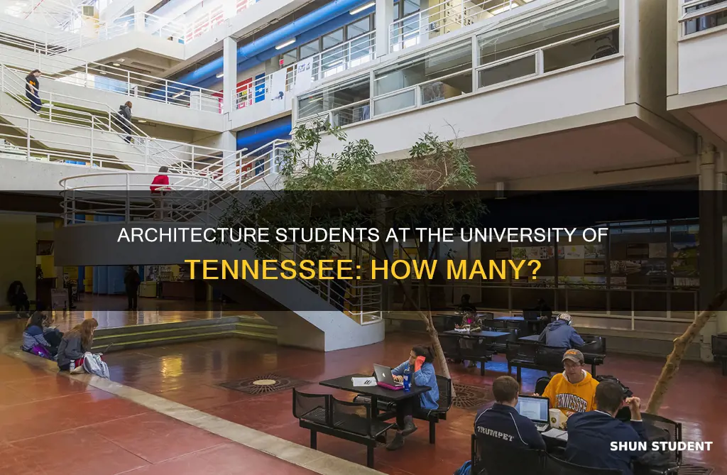 how many students in architecture at university of tennessee